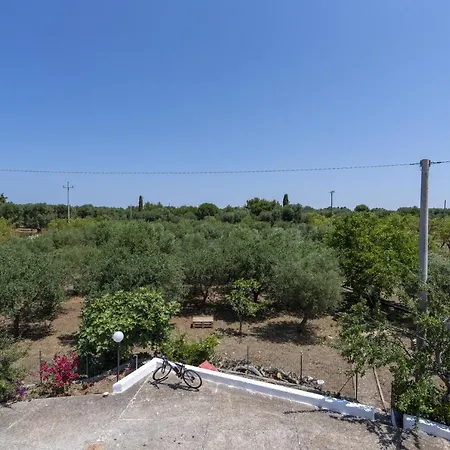 Bouganvillea In Ostuni